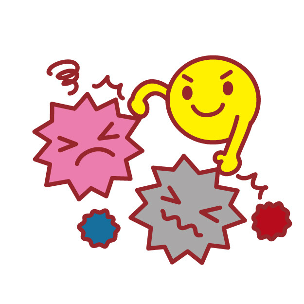 せんげん台のマッサージサロンの髙橋です。今回は「免疫力」について書きましたのでお読みください。