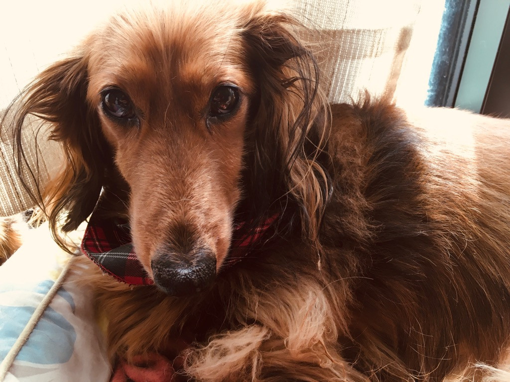 毎日を笑って過ごしていますか？