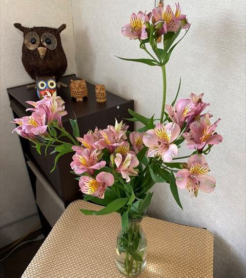 お花のある景色～自然の癒し、心の栄養～